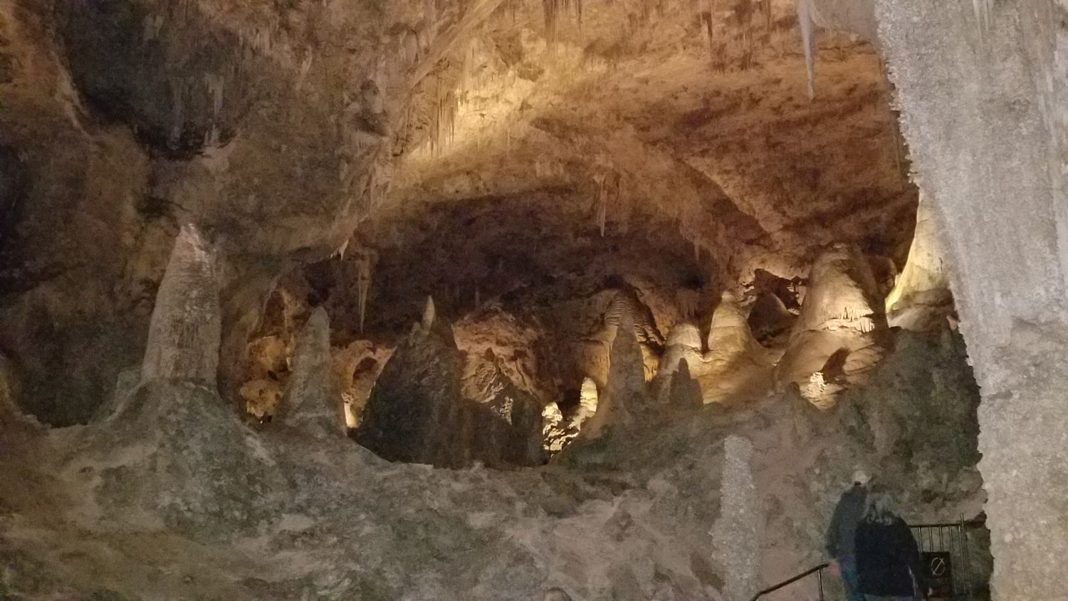 Carlsbad Caverns 